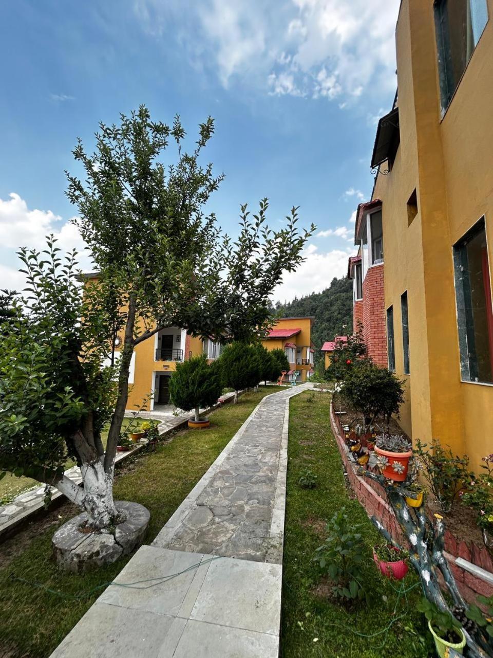 Mist N Meadows Resort Rājgarh Kültér fotó